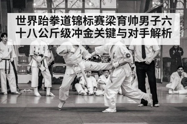 世界跆拳道锦标赛梁育帅男子六十八公斤级冲金关键与对手解析 - MK Sports App